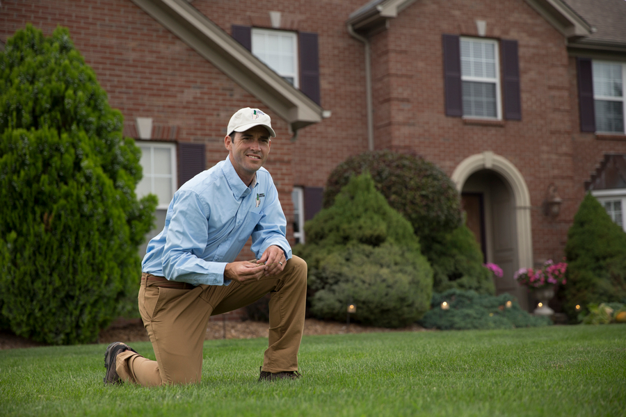 Cover photo of Lawn Doctor (Hill)